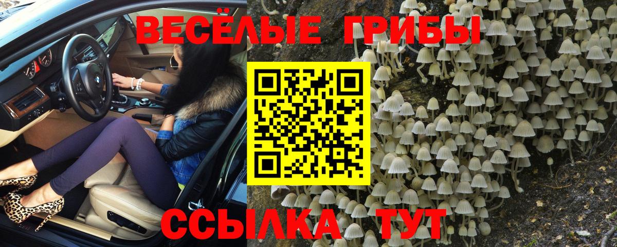 Кулебаки  Галлюциногенные грибы Cubensis  Вход с VPN  Псилоцибиновые грибы ЛСД 